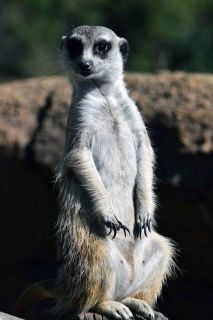 「写ガール」さんからの投稿写真＠よこはま動物園ズーラシア