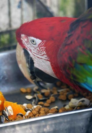 「写楽」さんからの投稿写真＠夢見ヶ崎動物公園