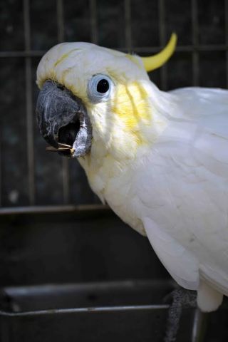 「写楽」さんからの投稿写真＠夢見ヶ崎動物公園