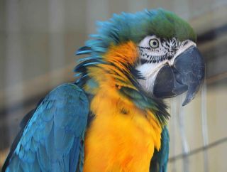 「写楽」さんからの投稿写真＠夢見ヶ崎動物公園