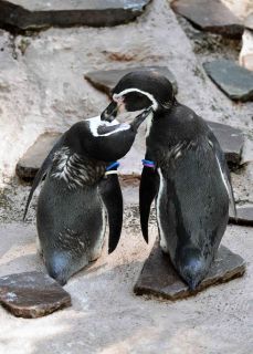 「写楽」さんからの投稿写真＠夢見ヶ崎動物公園