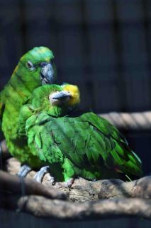 「写楽」さんからの投稿写真＠夢見ヶ崎動物公園