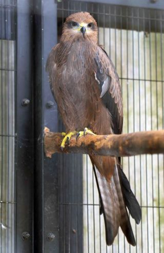 「写楽」さんからの投稿写真＠夢見ヶ崎動物公園