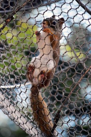 「写ガール」さんからの投稿写真＠夢見ヶ崎動物公園