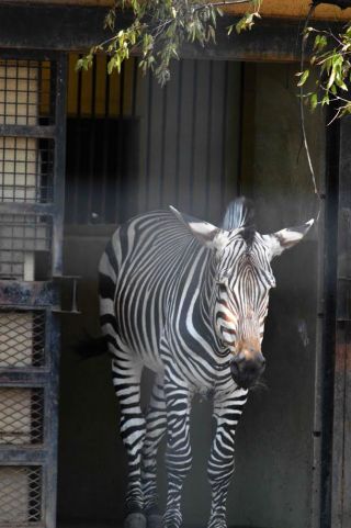 「写ガール」さんからの投稿写真＠夢見ヶ崎動物公園