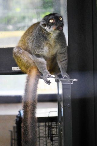 「写ガール」さんからの投稿写真＠夢見ヶ崎動物公園