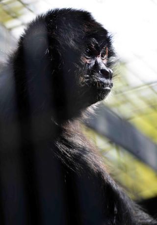 「写楽」さんからの投稿写真＠夢見ヶ崎動物公園