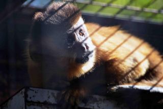 「写楽」さんからの投稿写真＠夢見ヶ崎動物公園