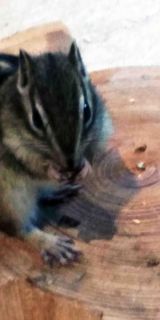 「写ガ〜ル」さんからの投稿写真＠オービィ横浜（Orbi Yokohama）