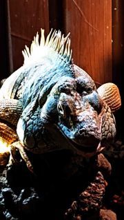 「写楽」さんからの投稿写真＠オービィ横浜（Orbi Yokohama）