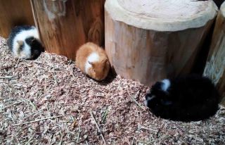 「写ガ〜ル」さんからの投稿写真＠オービィ横浜（Orbi Yokohama）