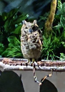 「写楽」さんからの投稿写真＠オービィ横浜（Orbi Yokohama）