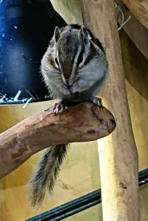 「写楽」さんからの投稿写真＠オービィ横浜（Orbi Yokohama）