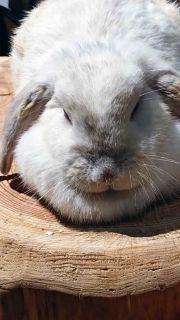 「写楽」さんからの投稿写真＠オービィ横浜（Orbi Yokohama）