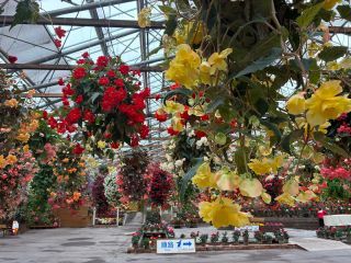 「くまちゃん」さんからの投稿写真＠松江フォーゲルパーク