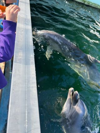 「ひとりーな」さんからの投稿写真＠新屋島水族館