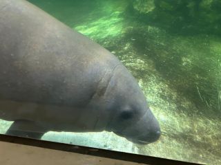 「ひとりーな」さんからの投稿写真＠新屋島水族館