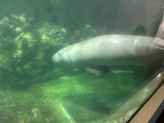 「ひとりーな」さんからの投稿写真＠新屋島水族館