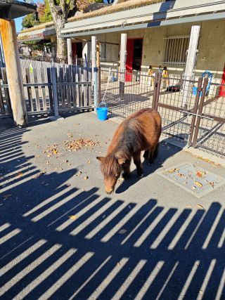 「A.T.」さんからの投稿写真＠板橋区立こども動物園