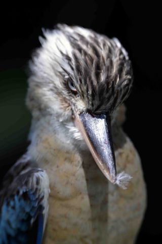 「写楽」さんからの投稿写真＠横浜市立金沢動物園
