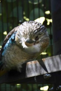 「写楽」さんからの投稿写真＠横浜市立金沢動物園