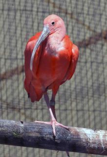 「写楽」さんからの投稿写真＠横浜市立金沢動物園