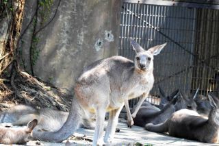 「写ガール」さんからの投稿写真＠横浜市立金沢動物園