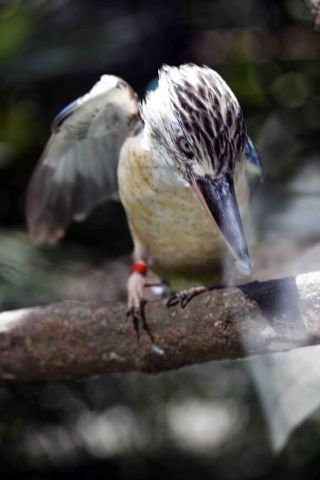 「写楽」さんからの投稿写真＠横浜市立金沢動物園