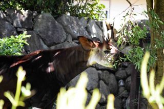 「写ガール」さんからの投稿写真＠横浜市立金沢動物園