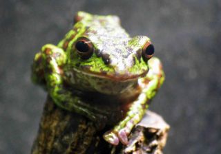 「写ガール」さんからの投稿写真＠横浜市立金沢動物園