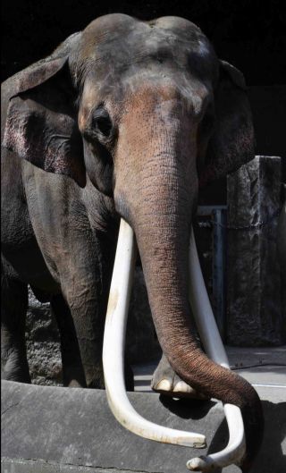 「写ガール」さんからの投稿写真＠横浜市立金沢動物園