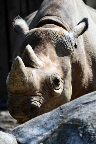 「写楽」さんからの投稿写真＠横浜市立金沢動物園