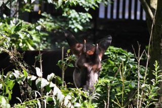 「写ガール」さんからの投稿写真＠横浜市立金沢動物園