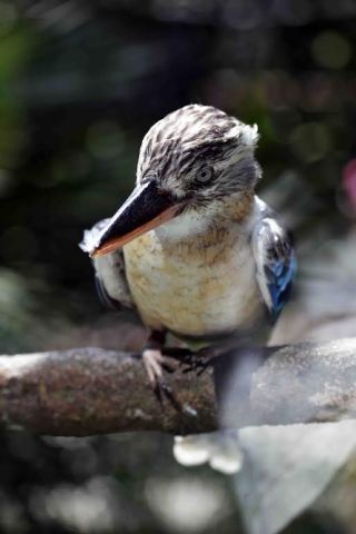 「写楽」さんからの投稿写真＠横浜市立金沢動物園