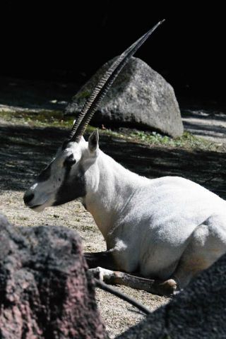 「写ガール」さんからの投稿写真＠横浜市立金沢動物園