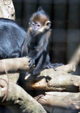 「写楽」さんからの投稿写真＠横浜市立金沢動物園