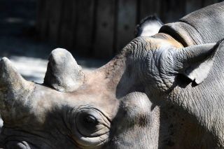 「写ガール」さんからの投稿写真＠横浜市立金沢動物園