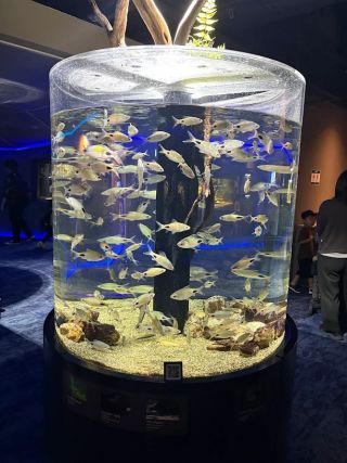 「まゆぼう」さんからの投稿写真＠カワスイ川崎水族館