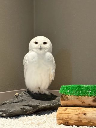 「まゆぼう」さんからの投稿写真＠カワスイ川崎水族館