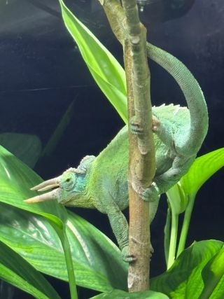 「まゆぼう」さんからの投稿写真＠カワスイ川崎水族館