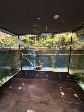 「まゆぼう」さんからの投稿写真＠カワスイ川崎水族館