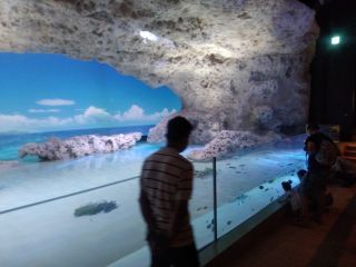 「ぺんちゃむ」さんからの投稿写真＠DMMかりゆし水族館