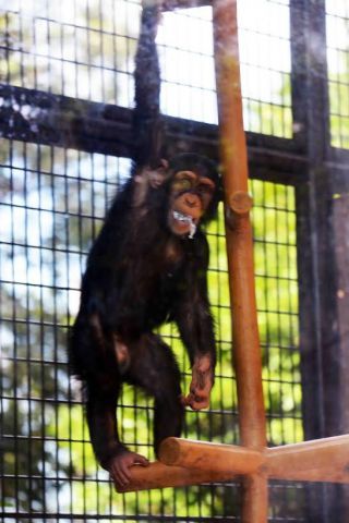 「写楽」さんからの投稿写真＠横浜市立野毛山動物園