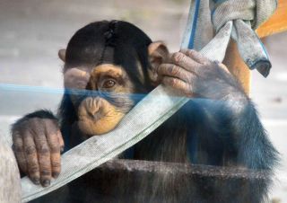 「写ガール」さんからの投稿写真＠横浜市立野毛山動物園