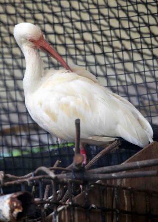 「写楽」さんからの投稿写真＠横浜市立野毛山動物園