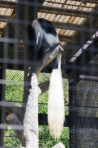 「写楽」さんからの投稿写真＠横浜市立野毛山動物園