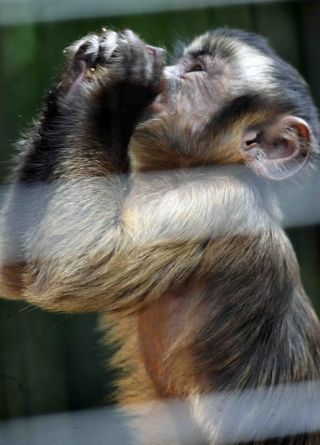 「写楽」さんからの投稿写真＠横浜市立野毛山動物園