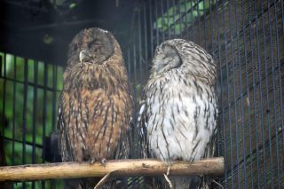 「写楽」さんからの投稿写真＠横浜市立野毛山動物園