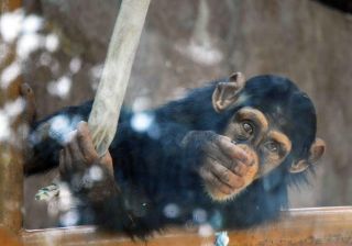 「写ガール」さんからの投稿写真＠横浜市立野毛山動物園