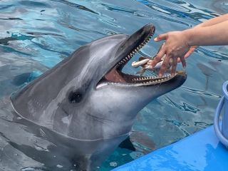 「zerolyst」さんからの投稿写真＠名古屋港水族館